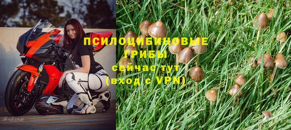 трава Алексеевка