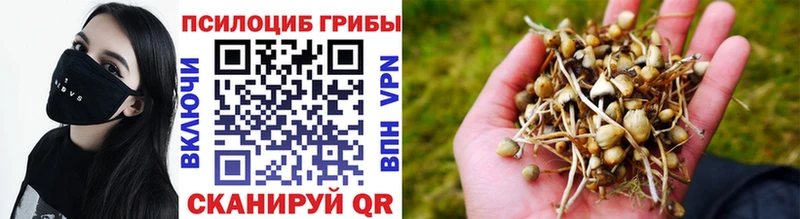 mega онион  Урай  Псилоцибиновые грибы мицелий 